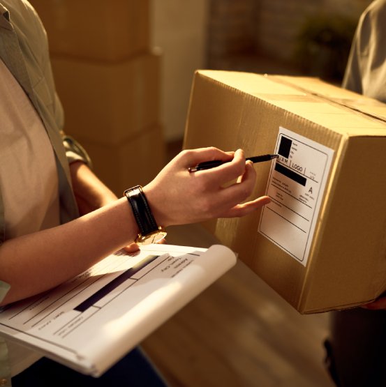 ACX Domestic Courier